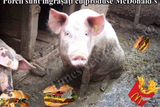 Mulţi români îşi îngraşă porcii cu produse de la McDonald’s