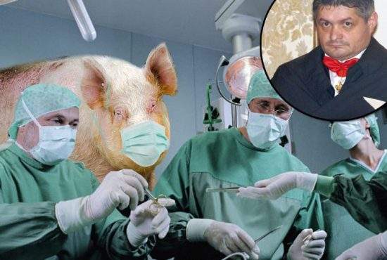 La spitalul Malaxa era angajat ca chirurg şi porcul pe care urma să-l taie Secureanu de Crăciun