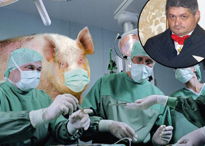 La spitalul Malaxa era angajat ca chirurg şi porcul pe care urma să-l taie Secureanu de Crăciun