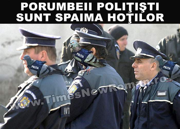 Câinii poliţişti vor fi înlocuiţi cu porumbei poliţişti