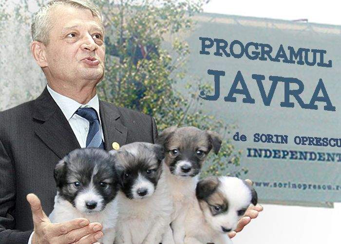 Sorin Oprescu va demara Programul JAVRA, de reînnoire a parcului de câini al Capitalei