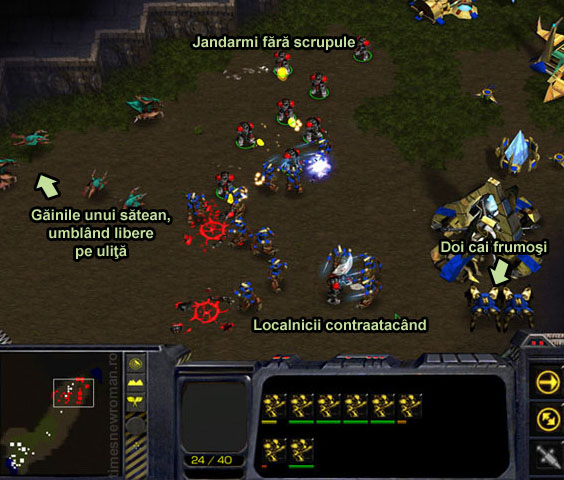 pungesti_starcraft3