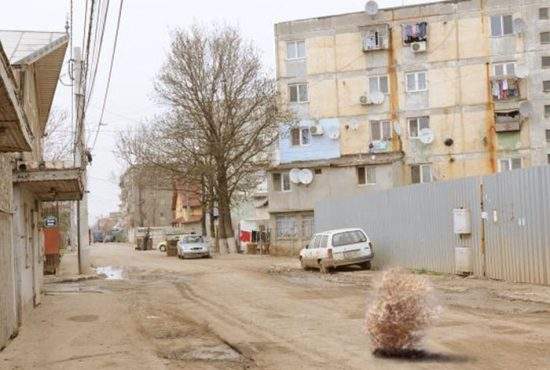 Un locuitor din Rahova a dat hepatită șobolanilor: Locuitorii riscă foametea