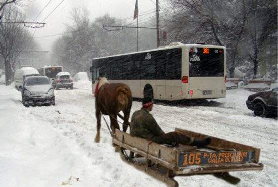 RATB înlocuieşte o parte din autobuze cu sănii trase de cai
