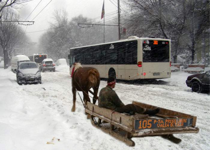 RATB înlocuieşte o parte din autobuze cu sănii trase de cai