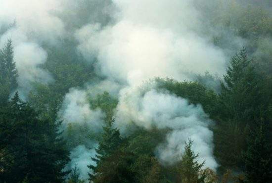 Secretarul general NATO a întrebat dacă e război civil în ţară, că iese fum din toate pădurile