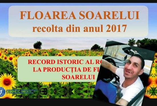 Dragnea îşi îndeamnă alegătorii să-şi pună dinţi, pentru că anul ăsta avem producţie record de floarea-soarelui