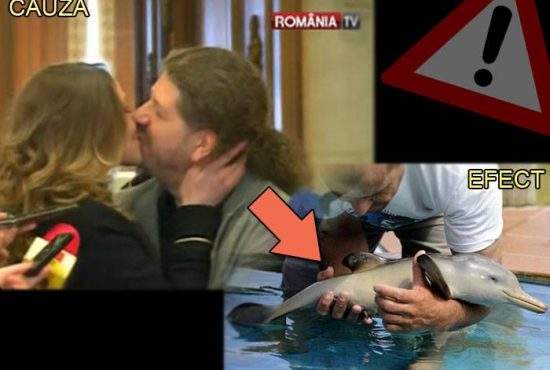 Dramatic! De fiecare dată când Remus Cernea sărută o femeie, un pui de delfin moare