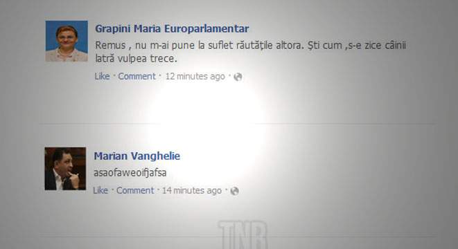 Facebook: 10 reacţii ale personalităţilor la perla cu vulpea a ministrului Remus Pricopie
