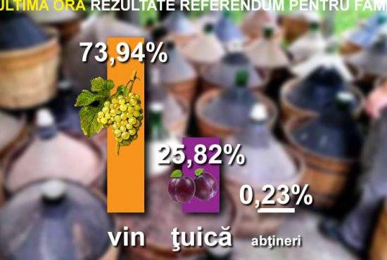Rezultate finale referendum: 74% dintre români au făcut vin, 26% ţuică