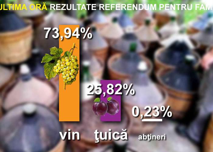 Rezultate finale referendum: 74% dintre români au făcut vin, 26% ţuică