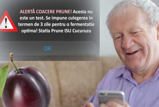 A meritat investiția! Milioane de români, anunțați prin Ro-Alert că s-au copt prunele