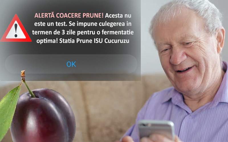 A meritat investiția! Milioane de români, anunțați prin Ro-Alert că s-au copt prunele