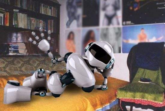 Primul robot inteligent a ajuns la adolescenţă şi îşi învârte manivela singur toată ziua