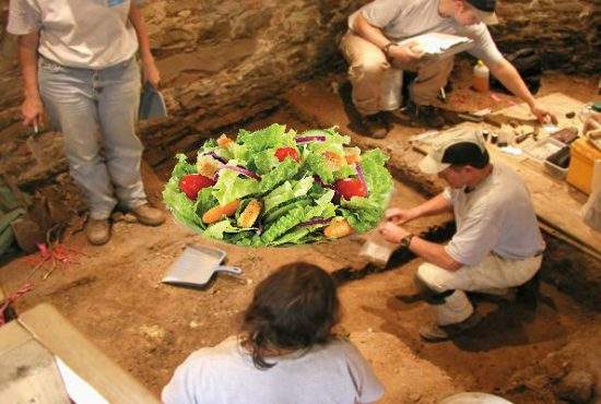 Dovada că vegetarianismul e ceva nou. A fost găsită o salată veche de 6000 ani, neatinsă!