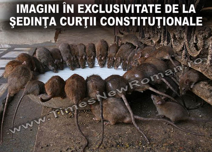 sedinta_ordinara_a_curtii_constitutionale