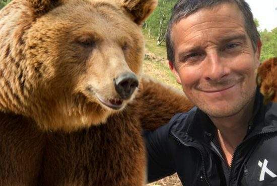 În noua sa emisiune, Bear Grylls te învață cum să faci selfie corect cu ursul