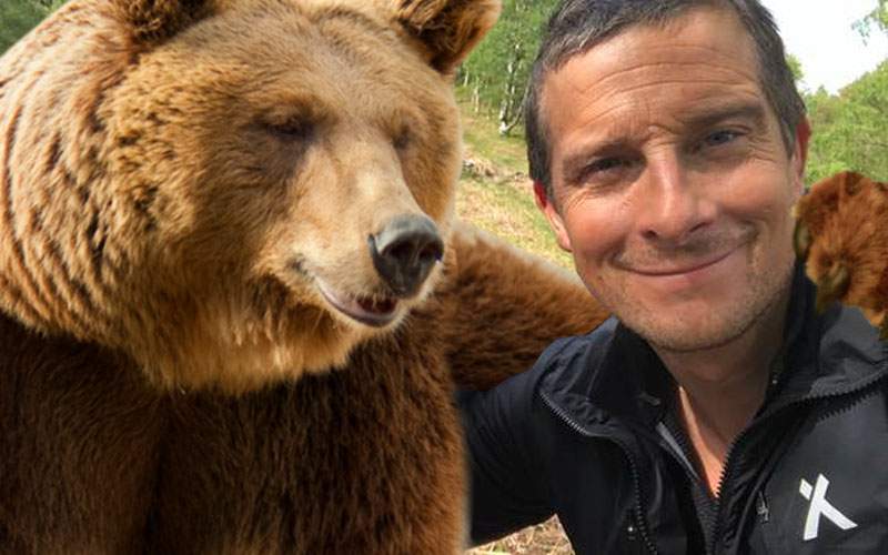 În noua sa emisiune, Bear Grylls te învață cum să faci selfie corect cu ursul