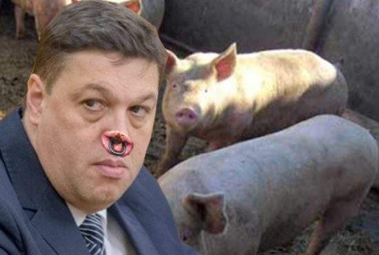 Petre Daea: PSD lucrează la refacerea efectivelor de porci. Şerban Nicolae a inseminat deja 10 scroafe