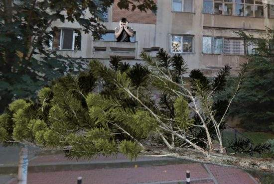 Sinistrat în Bucureşti. A căzut un copac în faţa uşii blocului şi nu mai poate ajunge la cârciumă!