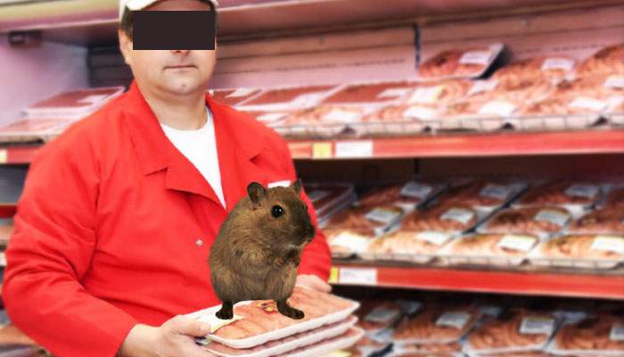 Gest firesc! Şoarecele din Kaufland regretă incidentul şi s-a întors în Mega Image, unde locuieşte