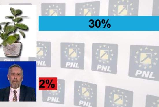 PNL s-a pripit. Ficusul din sediul partidului, cotat cu şanse mai mari decât Marian Munteanu
