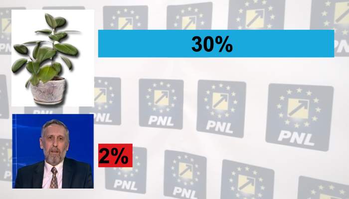 PNL s-a pripit. Ficusul din sediul partidului, cotat cu şanse mai mari decât Marian Munteanu