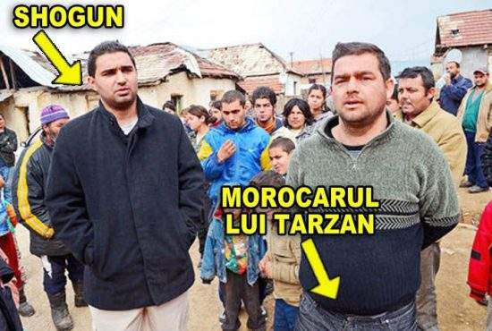 Decizie istorică a Staborului din Bolintin: Shogun trebuie să îi halească morocarul lui Tarzan