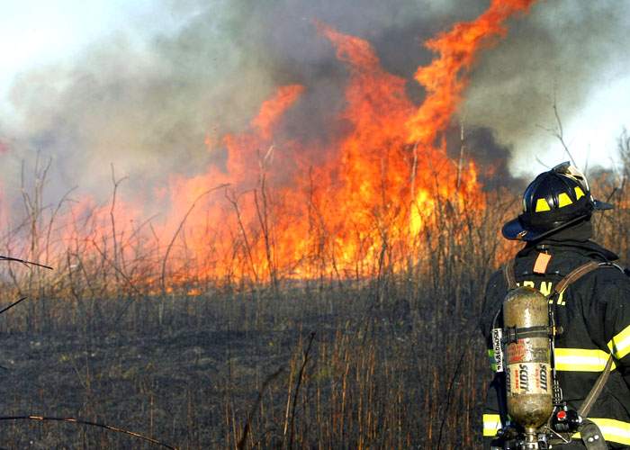 Incendiu istoric în Delta Văcăreşti! Bucureştiul devine primul oraş din lume iluminat cu stuf