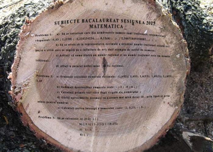 Miracol! Subiectele pentru Bac au apărut într-un trunchi de copac