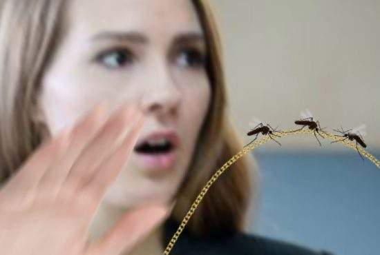 Un roi de ţânţari i-au smuls unei femei lanţul de la gât în Bucureşti