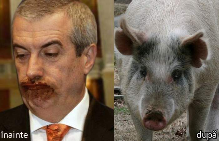 Politician ALDE, operație de schimbare de specie! Îi plac atât de mult lăturile, că s-a făcut porc