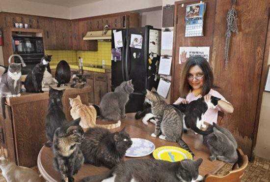 Tatiana Niculescu-Bran a demisionat pentru a petrece mai mult timp cu cele 174 de pisici ale sale