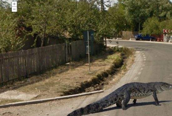 Internetul românesc, atât de rapid că ajungi mai repede la Ploieşti pe Street View decât cu trenul