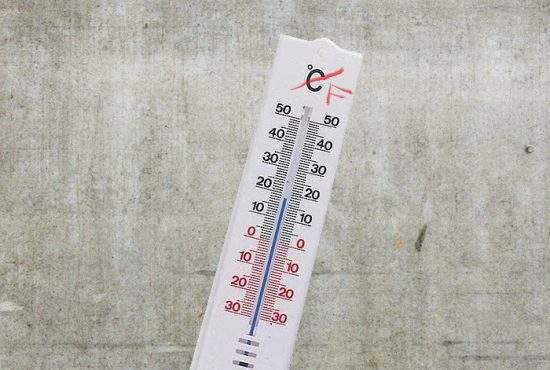 Caracalean supărat: Am şters “Celsius” de pe termometru şi am scris “Fahrenheit”, dar tot mi-e cald