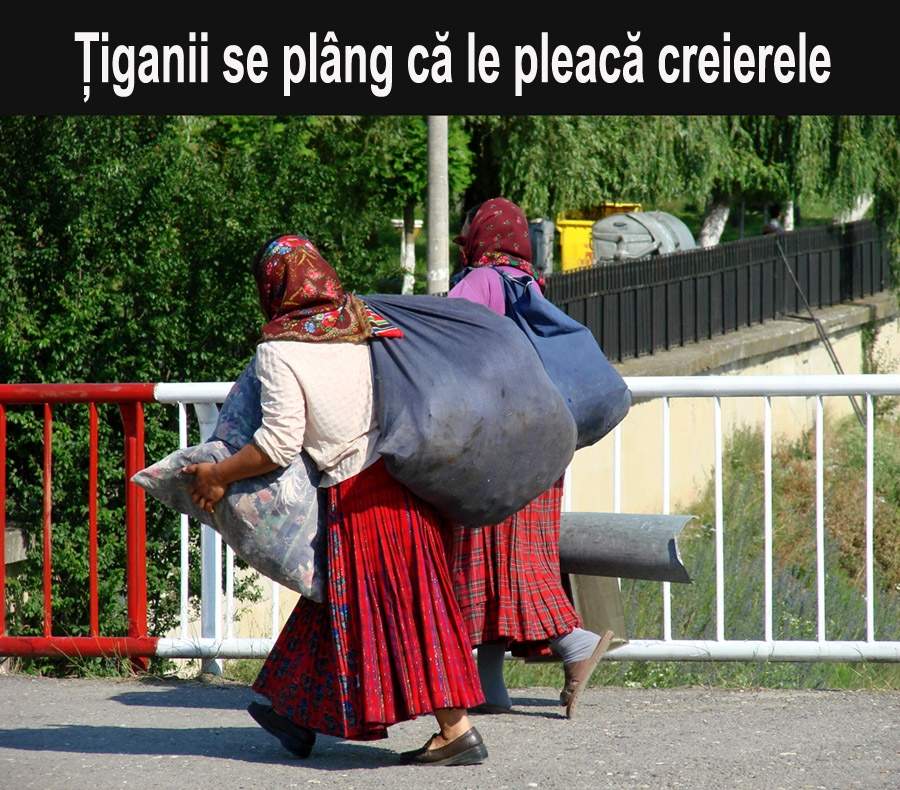 Ţiganii se plâng de exodul creierelor