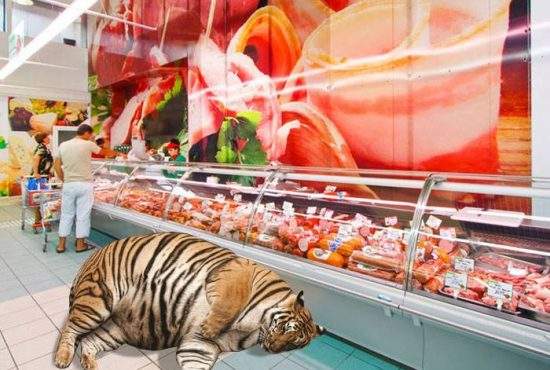 Supermarket închis la Sibiu, pentru că era un tigru în raionul de mezeluri
