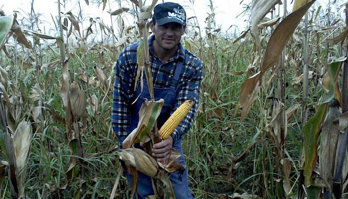 E toamnă în ţara ta, România. 10 indicii irefutabile