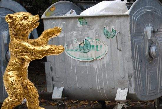 Mai mulţi locuitori din Braşov se plâng că Ursul de Aur le umblă prin tomberoane