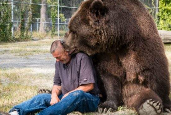 Urşii le bat obrazul românilor care aruncă PET-uri pe munte: „Măcar lăsaţi şi voi un deget de bere în ele”