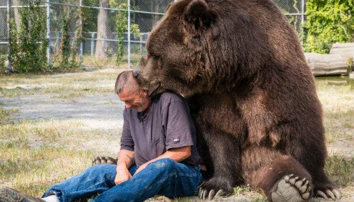 Urşii le bat obrazul românilor care aruncă PET-uri pe munte: „Măcar lăsaţi şi voi un deget de bere în ele”