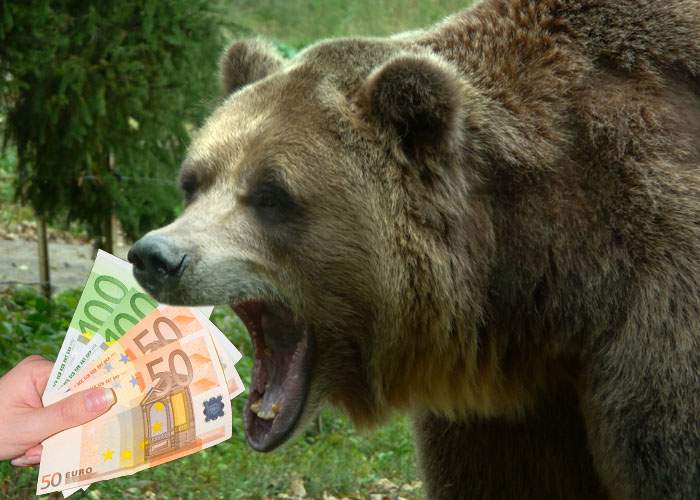 Ministrul Mediului: „Fiecare urs va primi câte 300 euro ca să se întoarcă în pădure”