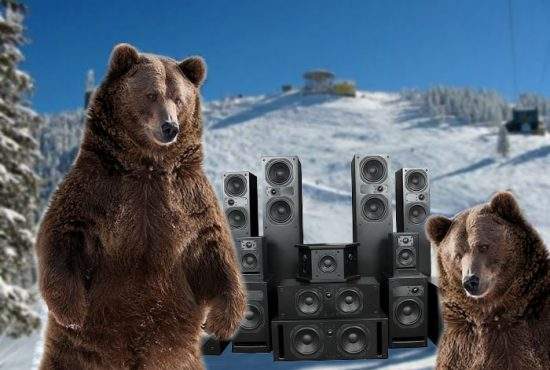 Urșii au ieșit deja din hibernare, deranjați de zgomotul de manele care se aude din Poiana Brașov