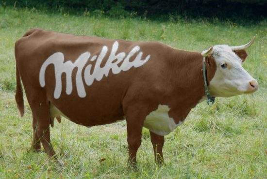 Văcuţa Milka, vopsită maro! De când e asociat cu PP-DD, movul e jignitor chiar şi pentru bovine