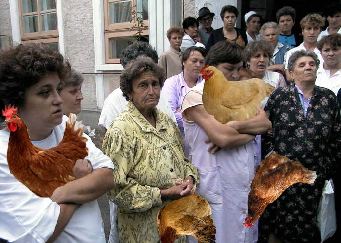 Românii reclamă dotările deficitare din cabinetele vrăjitoarelor. Trebuie să vii cu găina de-acasă!