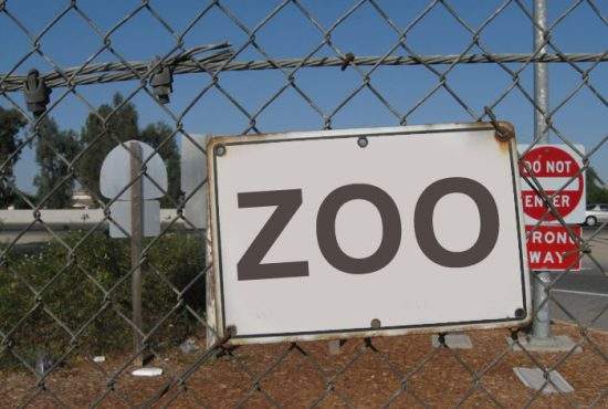 Respect! Sârbii au montat deja pe gardul construit de unguri la graniţă o plăcuţă cu “Zoo Hungaria”