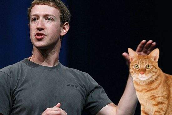 Facebook a făcut 10 ani! Zuckerberg le-a mulţumit pisicilor pentru că ţin reţeaua socială în viaţă