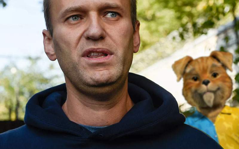 Opozant rus, otrăvit. Persoane neidentificate i-au pus în ceai beresuc de la pisicâine