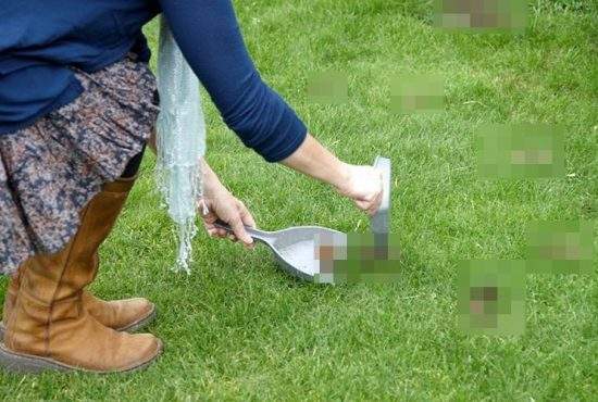 Noi măsuri dictatoriale. Pe lângă botniţă, va trebui să strângem când ne c*căm în parc