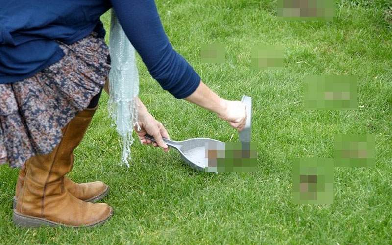 Noi măsuri dictatoriale. Pe lângă botniţă, va trebui să strângem când ne c*căm în parc